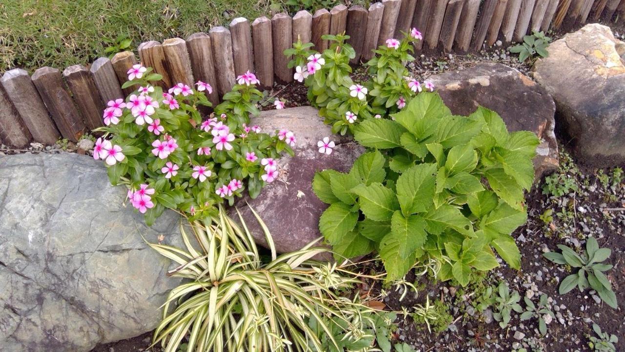 Healing Space Tajima Shinmoe 雾岛市 外观 照片